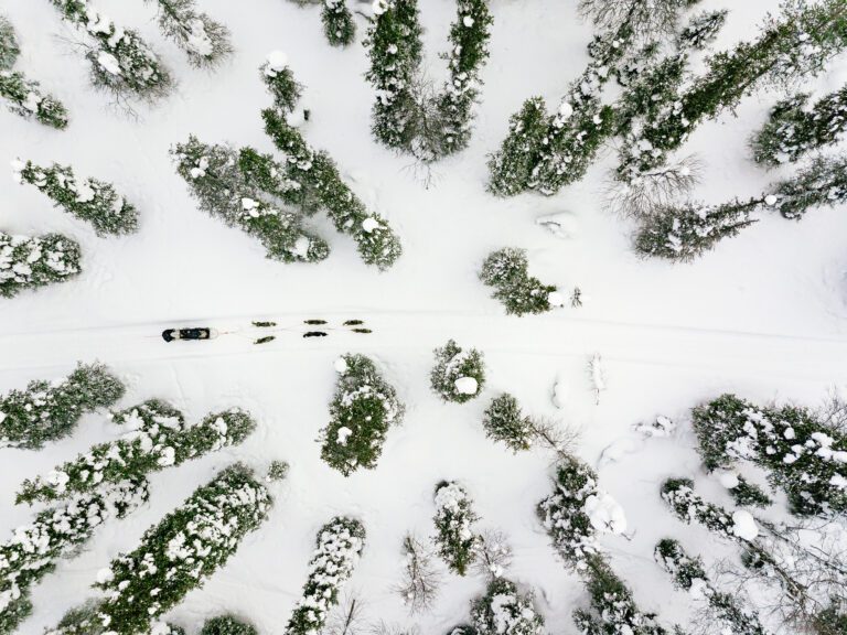 Lapland met de familie