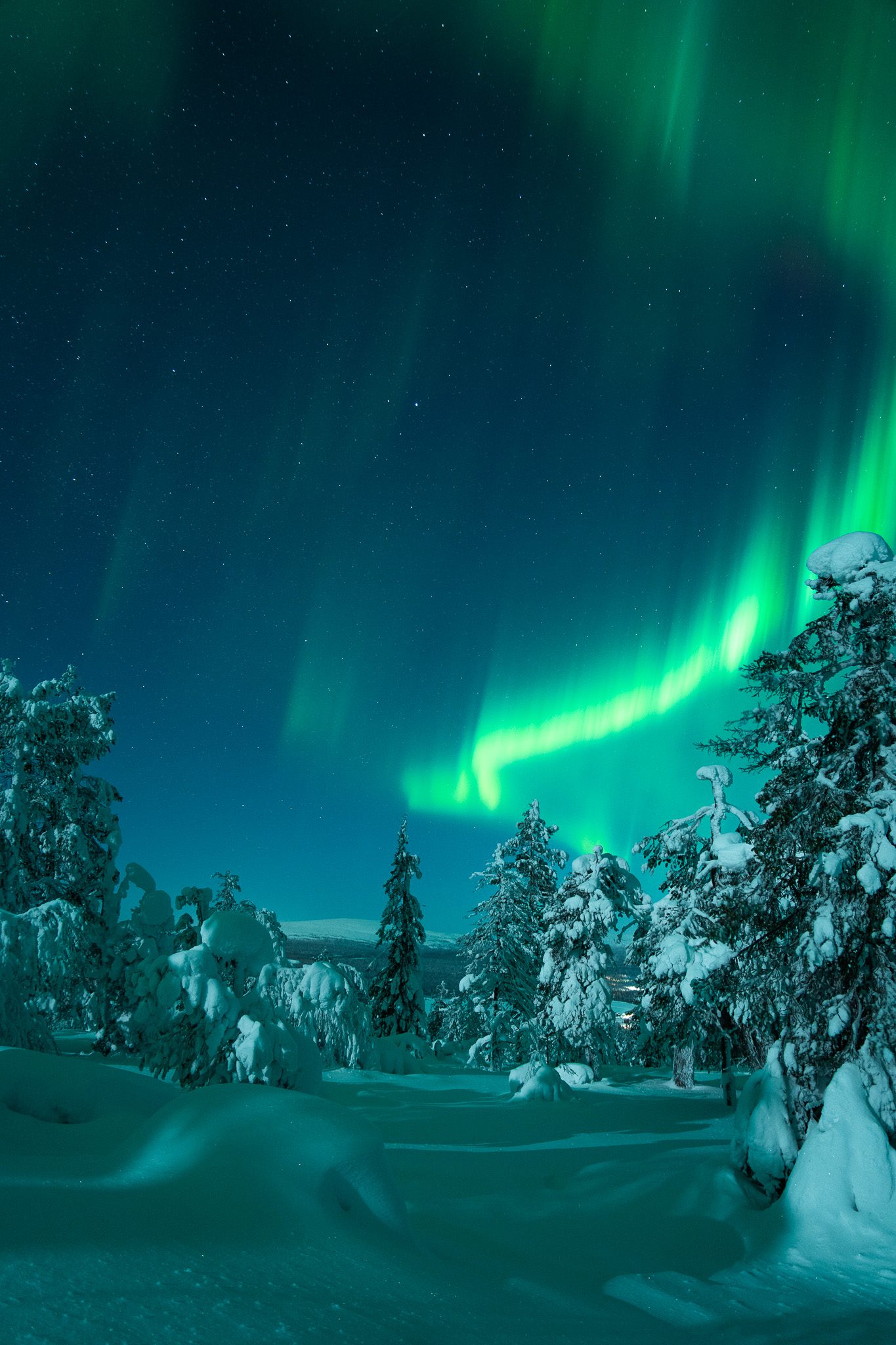 Northern Lights Lapland